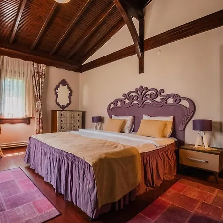 Bloom Holiday home Sapanca