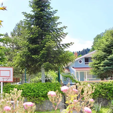 Bloom Casa vacanze *