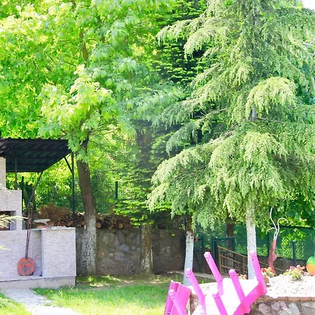 Casa vacanze Bloom *