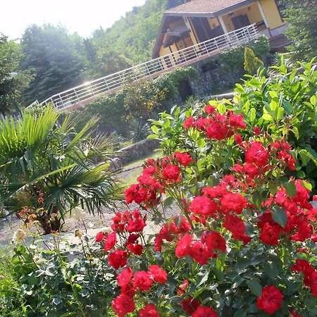 Bloom * Sapanca