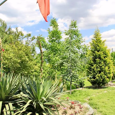 Bloom Casa vacanze