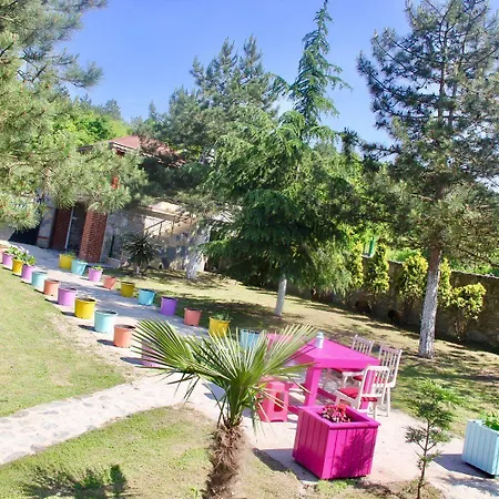 Casa vacanze Bloom *